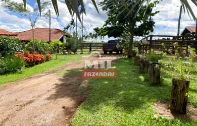 Imagem 7: Fazenda 36 alquieres 174,24 hectares Edealina - Go