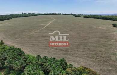 Imagem: A fazenda possui 500m² de Área e está localizado em Morrinhos