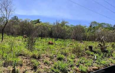 Imagem: 82A LOTES DE 600M2 ATIBAIA COM ENTRADA FACILITADA