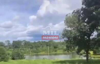 Imagem 3: Fazenda 90 alqueires 435,6 hectares Amaralina - Go