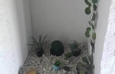 Imagem 14: Casa na Trindade - Rua Juazeiro esquina com Rua Manaus