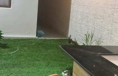 Imagem 13: Leonardo Corretor Vende: Linda Casa Solta Com Piscina Em Gravatá