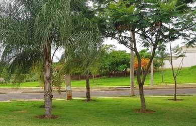 Imagem 3: Damha Fit Ipiguá terreno com excelente topografia