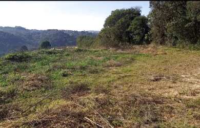 Imagem 4: Vendo terrenos. 1.200m² de Área