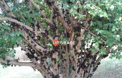 Imagem 10: Casa com 6 dormitórios à venda, 980 m² por R$ 16.000.000,00 - Tamboré...