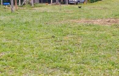 Imagem 16: Oportunidade Única Fazenda à Venda com Potencial para Desenvolvimento...