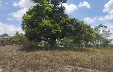 Imagem: O terreno está localizado em Areia Branca, SE à venda por