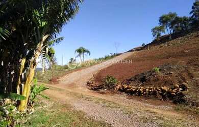 Imagem 7: SÍTIO À VENDA VÁRZEA GRANDE - GRAMADO/RS