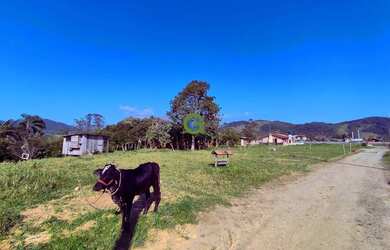 Imagem 15: Casa à venda com Amplo Terreno em Nova Belém, Paulo Lopes - 3.448 m²