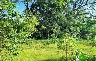 Imagem 3: Excelente fazenda com 687 hectares à venda na região de Pirapora/MG