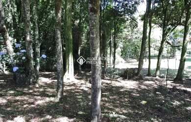 Imagem 13: Propriedade Rural no bairro São Virgílio