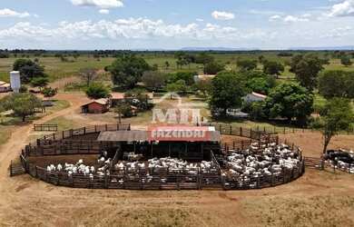 Imagem 8: Fazenda 303 Alqueires 1.469 Hectares Flores De Goiás - Go