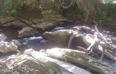 Imagem: A fazenda possui 40m² de Área e está localizado em Cocalzinho