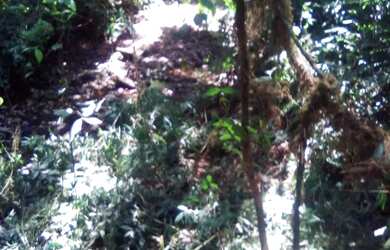 Imagem 9: Area - Bairro Arroio Paixão