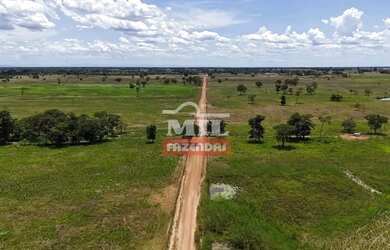 Imagem 11: Fazenda 303 Alqueires 1.469 Hectares Flores De Goiás - Go