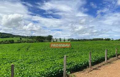 Imagem 8: Fazenda 36 alquieres 174,24 hectares Edealina - Go
