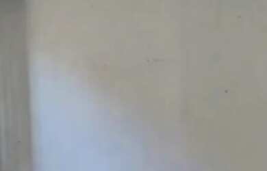 Imagem: A casa possui 2 Dormitórios, 1 Banheiro, 250m² de Área e