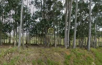Imagem: A fazenda possui 339.671m² de Área e está localizado em
