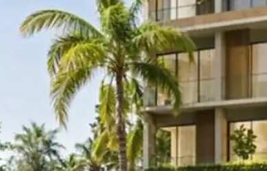 Imagem 4: Investimento ao lado da Vila Padre em Tamandaré/Carneiros-PE