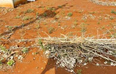 Imagem: O terreno possui 284m² de Área e está localizado em Vila