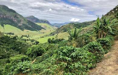 Imagem: A fazenda possui 48.000m² de Área e está localizado em Muniz