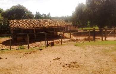 Imagem 6: Fazenda excelente à venda entre Votuporanga e Cardoso-SP