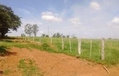 Imagem 3: Fazenda excelente à venda entre Votuporanga e Cardoso-SP