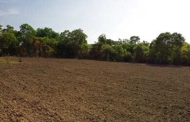 Imagem 14: A melhor e mais barata do Brasil