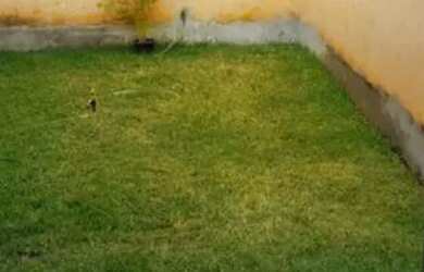 Imagem: A casa possui 2 Dormitórios, 1 Banheiro, 1 Vaga na garagem