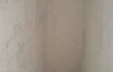 Imagem 1: Aluga se casa. 1 Banheiroe2 Dormitórios