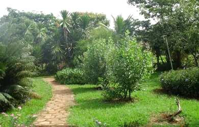 Imagem: A fazenda possui 5.000m² de Área e está localizado em Senador