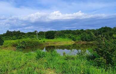 Imagem 4: A M IMOVEIS VENDE EXELENTE FAZENDA COM 13 ALQUEIRES MINAÇU-GO