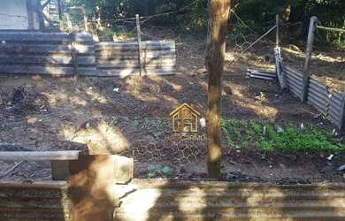 Imagem 14: Fazenda com 3 dormitórios à venda, 4888840 m² por R$ 15.800.000,00...