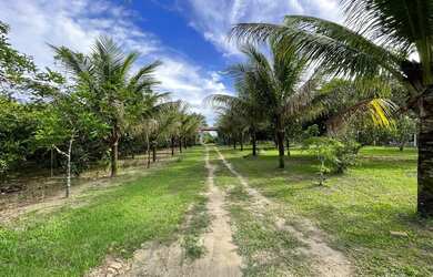 Imagem 8: Sitio 13 ha Porteira Fechada