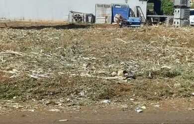 Imagem: O terreno possui 307m² de Área e está localizado em Jardim