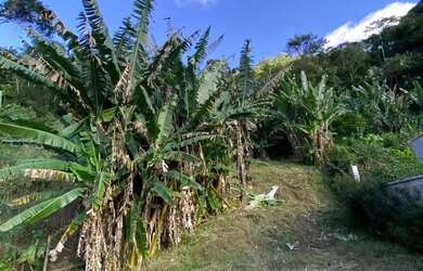 Imagem 4: Terreno para venda, Boa Esperança, Lumiar - Rio de Janeiro