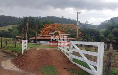 Imagem 3: Chácara 3,61 alqueires 17,5 hectares Taquaral - Go