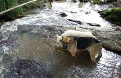 Imagem: A chácara possui 1000m² de Área Privada e está localizado