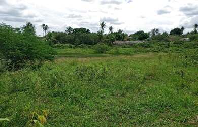 Imagem: A fazenda possui 20.000m² de Área e está localizado em Novo