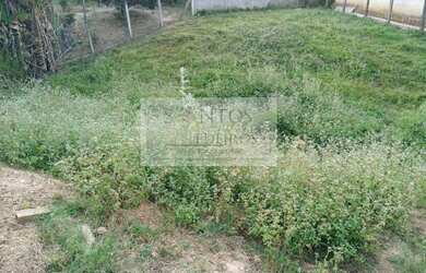 Imagem 3: Chácara para venda em Anhumas por R$120.000 possui 853 metros quadrados