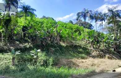 Imagem: Sítio em Zona Rural - Sete Barras