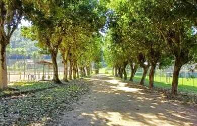 Imagem: O terreno possui 97000m² de Área e está localizado em Campo