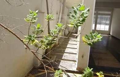 Imagem 4: Sobrado Comercial para venda ou locação - Jardim Paulista - 8 salas, 5 banheiros, cozinha