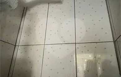 Imagem 11: Casa 2 dorm, sala, cozinha, banheiro, 1 vaga no Imirim / Lauzane Paulista