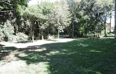 Imagem 16: Propriedade Rural no bairro São Virgílio