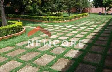 Imagem: A fazenda possui 400m² de Área e está localizado em Portal