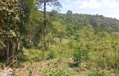 Imagem: A chácara possui 4.000m² de Área e está localizado em Juquitiba