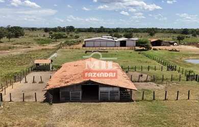 Imagem 10: Fazenda 303 Alqueires 1.469 Hectares Flores De Goiás - Go