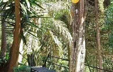 Imagem: A casa possui 2 Dormitórios, 2 Banheiros, 3 Vagas na garagem