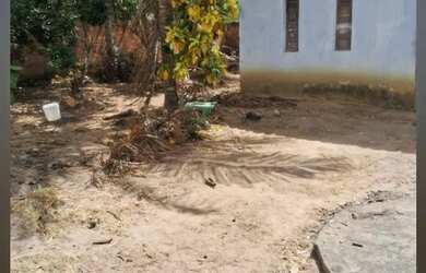 Imagem: A casa possui 3 Dormitórios, 1 Banheiro, 232m² de Área e